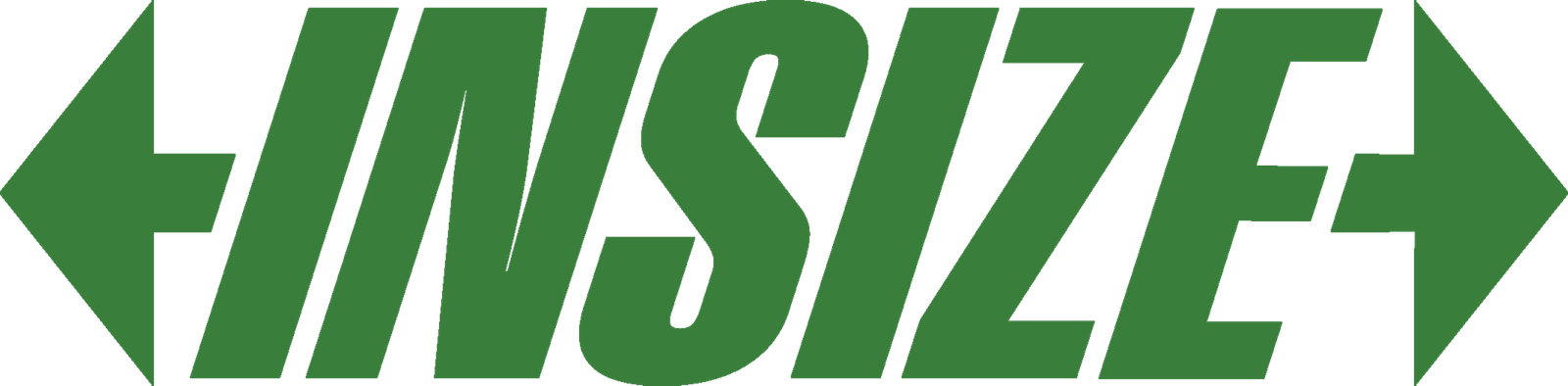 INSIZE
