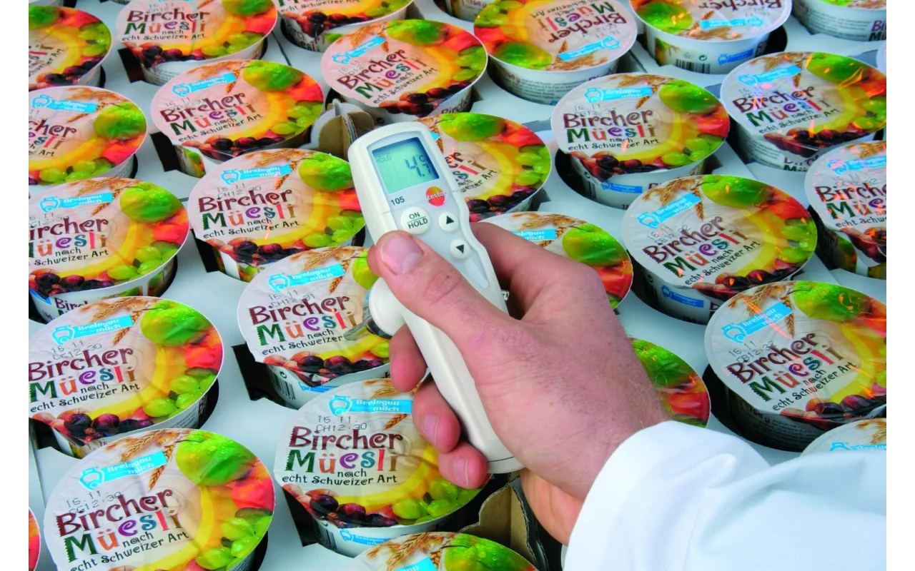 Testo 105 Food thermometer with exchange probe